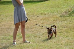 DSC_5583_01.JPG
