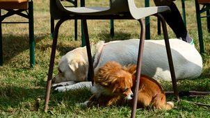DSC_5589_01.JPG