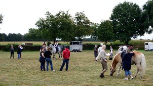DSC_5622_01.JPG