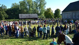 evenementensample-26.jpg