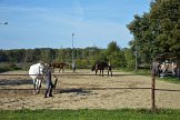 DSC_8688.JPG