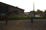 DSC_8740.JPG