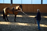 DSC_6365.JPG