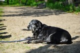 DSC_9958.JPG