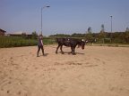 IMG_20140731_101357.jpg